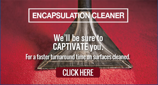 Encapsulation Cleaner