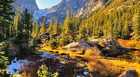 Colorful forest in Rocky Mountain National Park during the fall