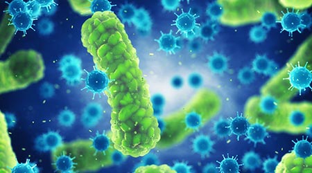 Microscopic germs that cause infectious diseases