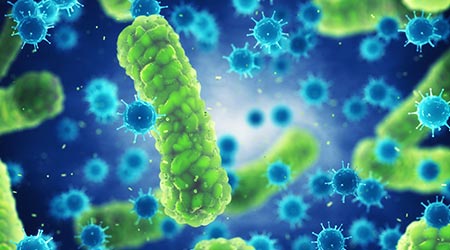 Outdoor Pathogens Could Move Antibiotic-Resistance Indoors